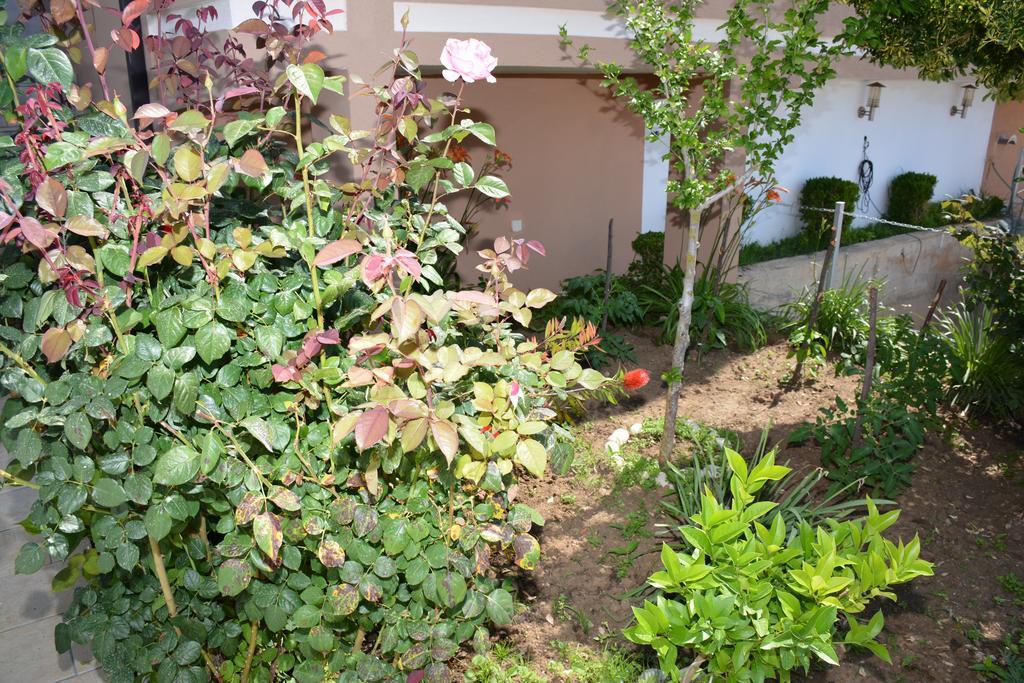 Guest House Evropa 2 Ulcinj Bagian luar foto